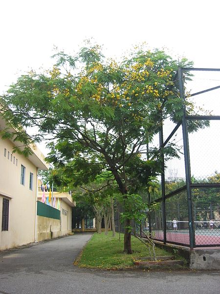 AUB Landscape Plant Database